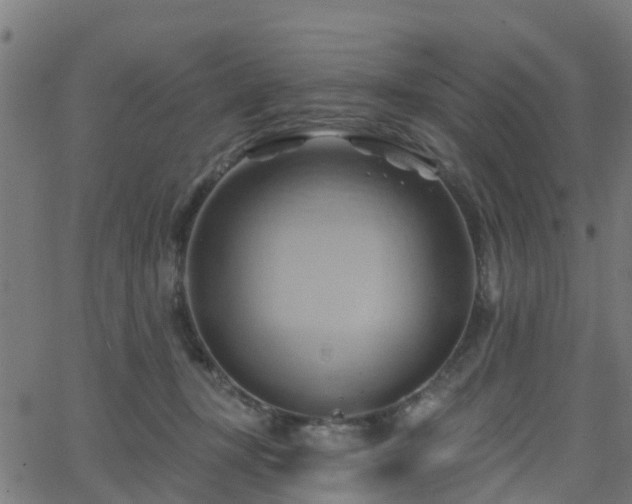 X0000062910367200601181225