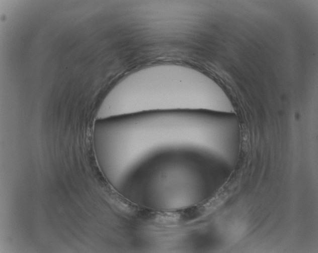 X0000062910369200601181225