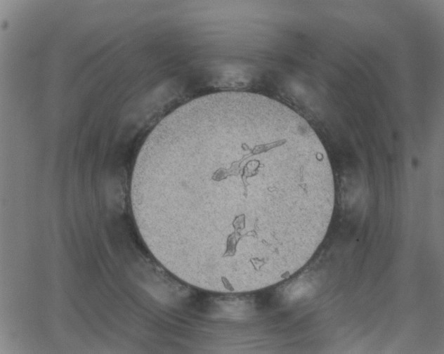 X0000062910370200601181225