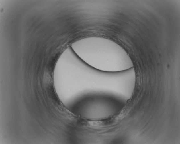 X0000062910371200601181225