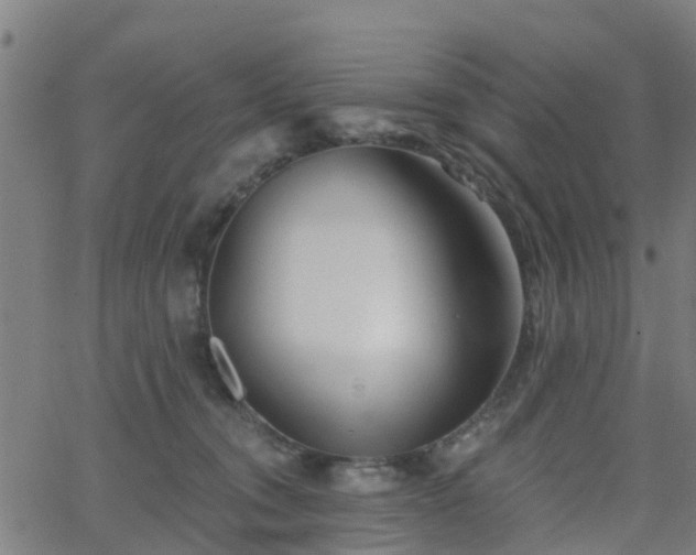 X0000062910372200601181225