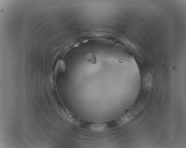 X0000062910373200601181225