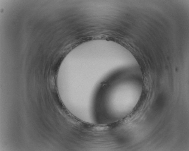 X0000062910375200601181225