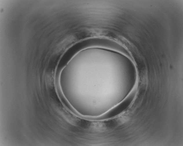 X0000062910376200601181225