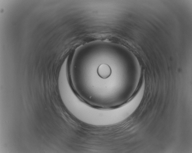 X0000062910380200601181225