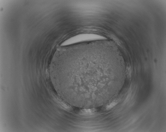 X0000062910381200601181225