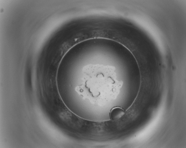 X0000062910382200601181225