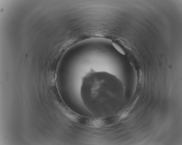 X0000062910383200601181225