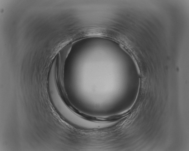 X0000062910385200601181225