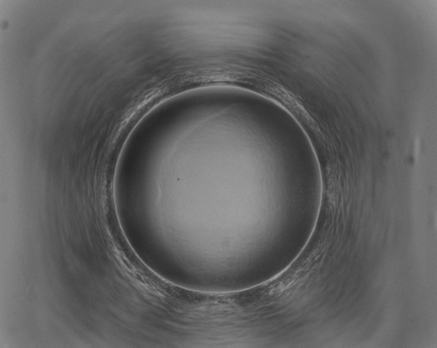 X0000062910386200601181225