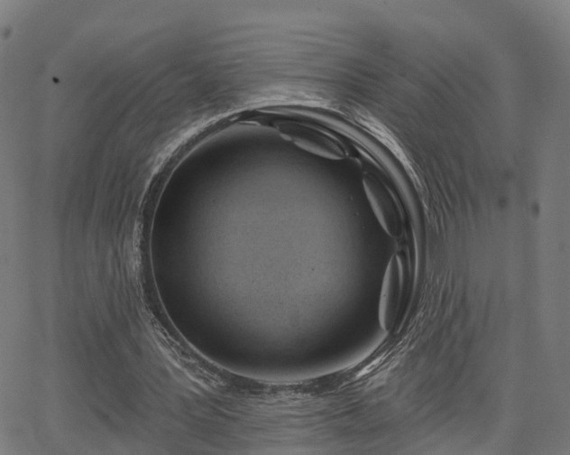 X0000062910387200601181225