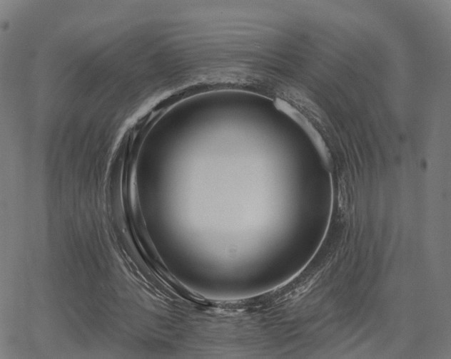 X0000062910388200601181225