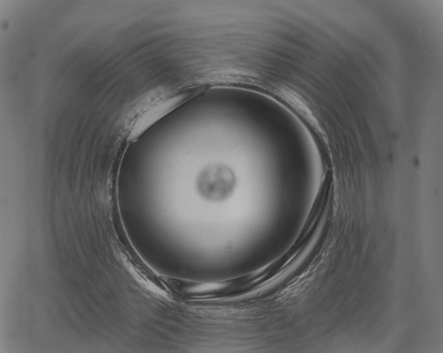 X0000062910389200601181225