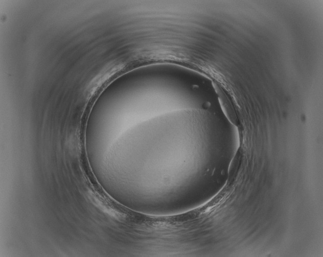 X0000062910390200601181225