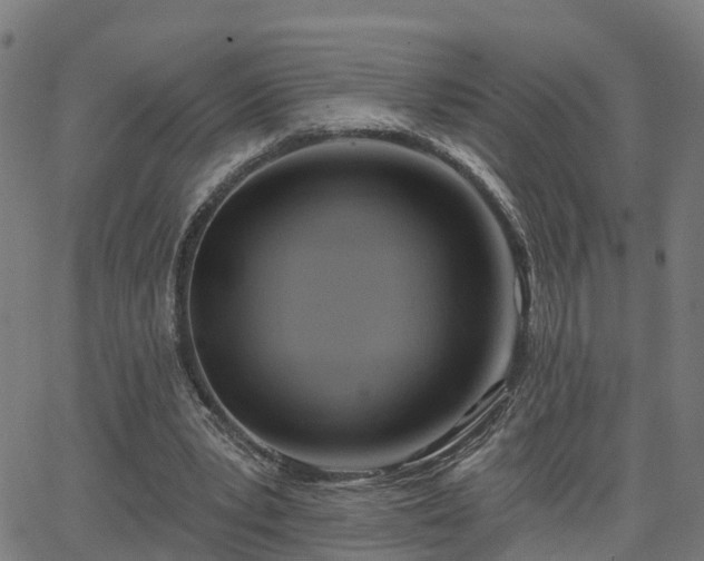 X0000062910391200601181225