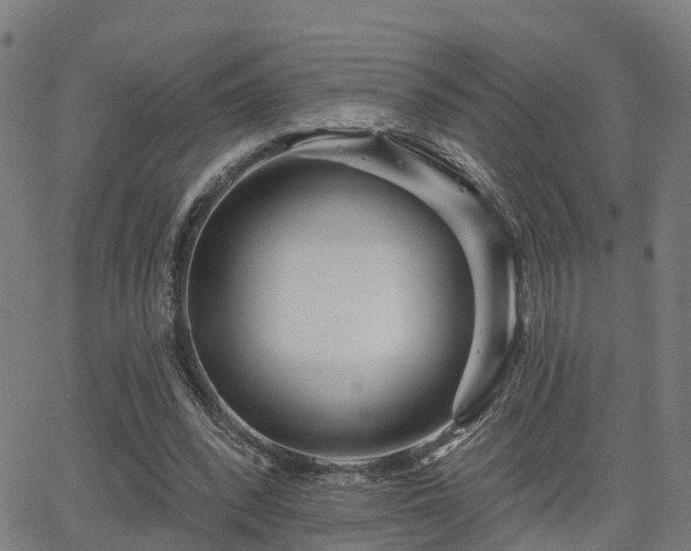 X0000062910392200601181225