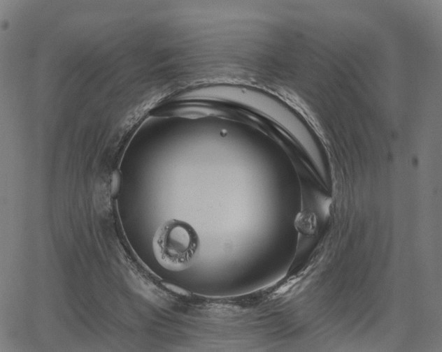 X0000062910393200601181224