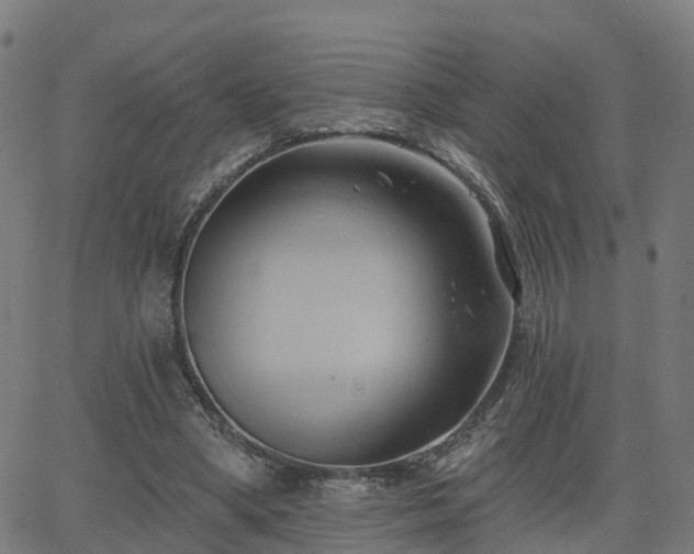 X0000062910394200601181224