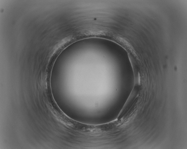 X0000062910395200601181224