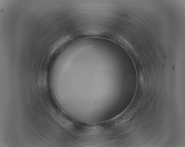 X0000062910396200601181224