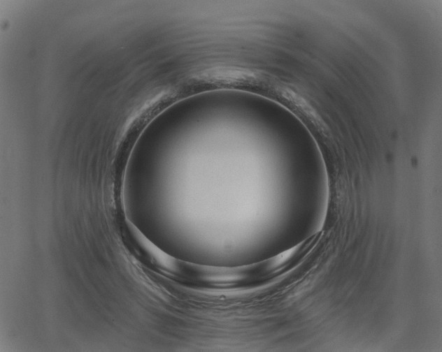 X0000062910399200601181224