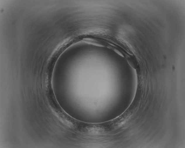 X0000062910400200601181224