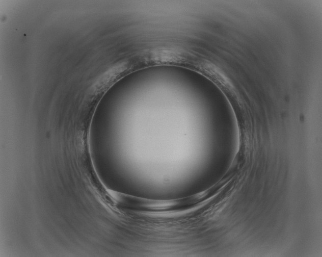 X0000062910401200601181224