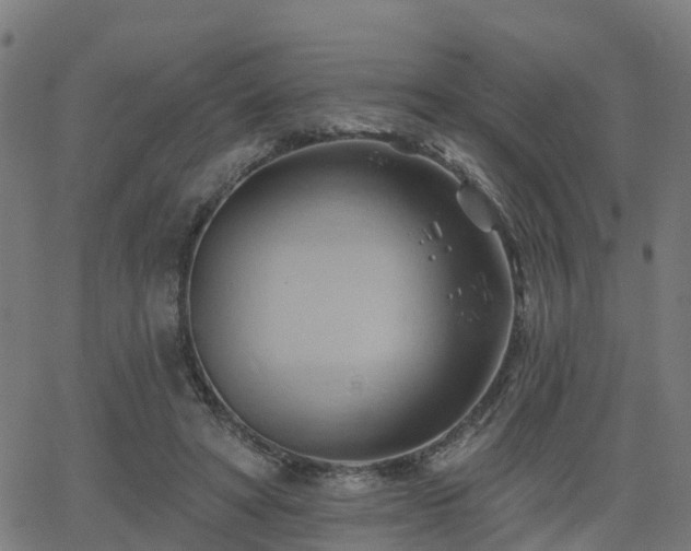 X0000062910402200601181224