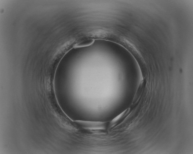 X0000062910403200601181224