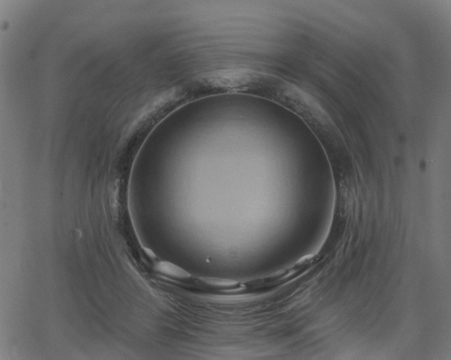 X0000062910404200601181224