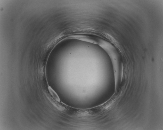 X0000062910405200601181224