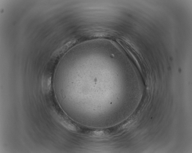 X0000062910406200601181224