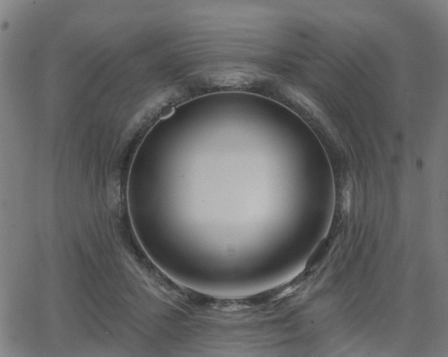 X0000062910407200601181224