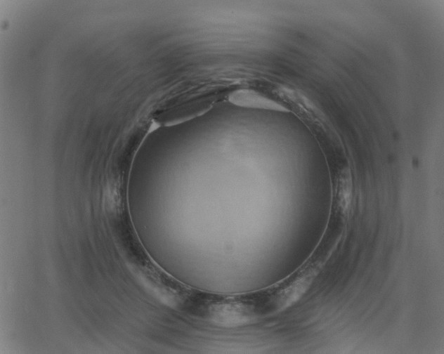 X0000062910408200601181224