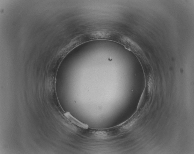 X0000062910409200601181224