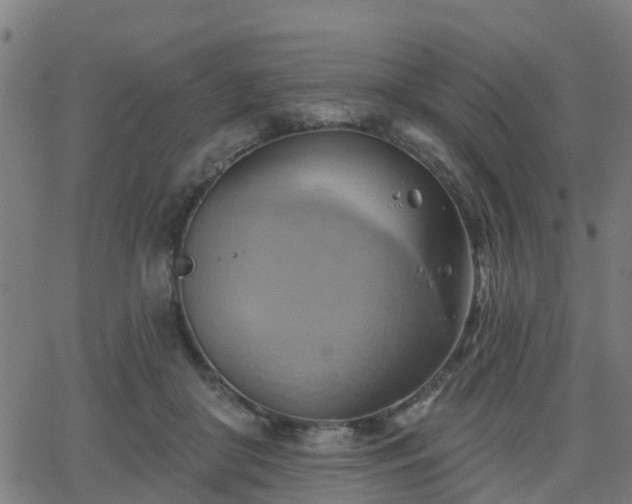 X0000062910410200601181224