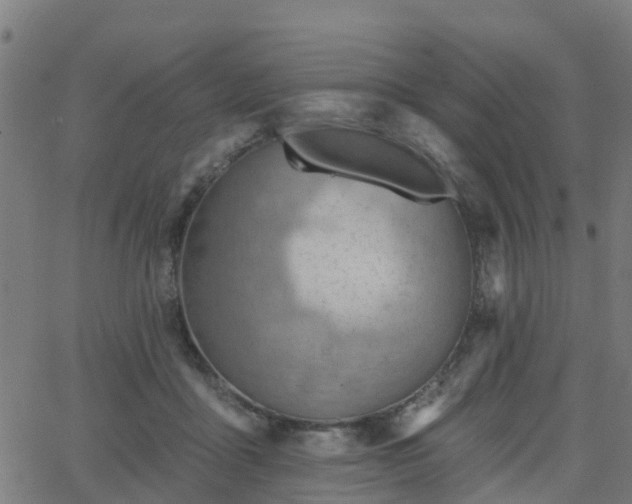 X0000062910411200601181224