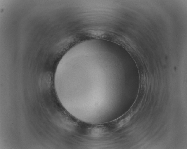 X0000062910412200601181224