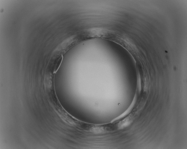 X0000062910413200601181224