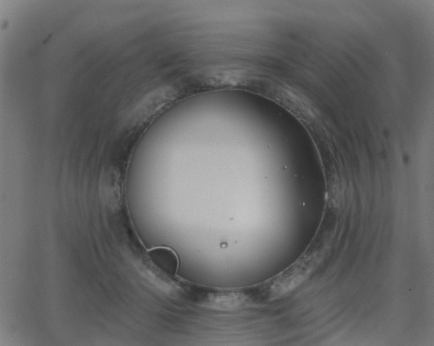 X0000062910414200601181224