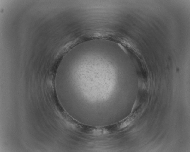 X0000062910415200601181224