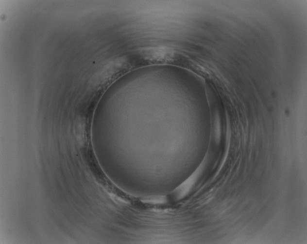 X0000062910416200601181224