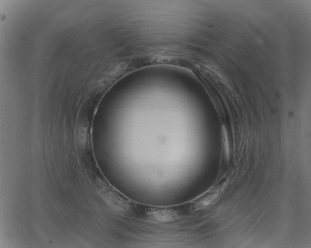 X0000062910417200601181224