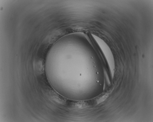 X0000062910420200601181224