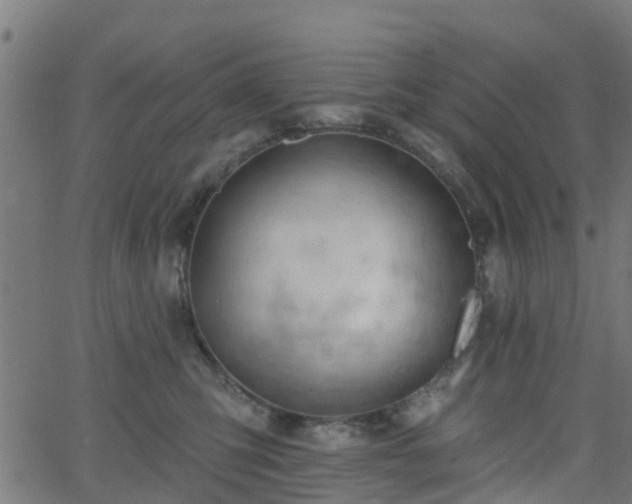 X0000062910423200601181224