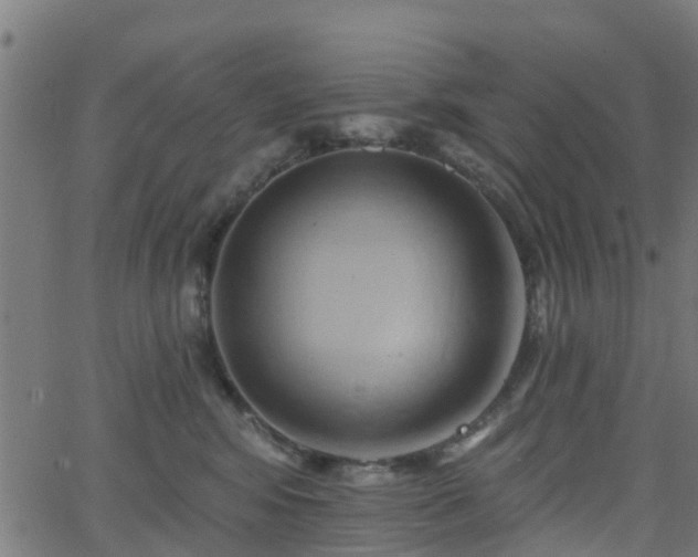 X0000062910424200601181224