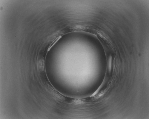 X0000062910425200601181224