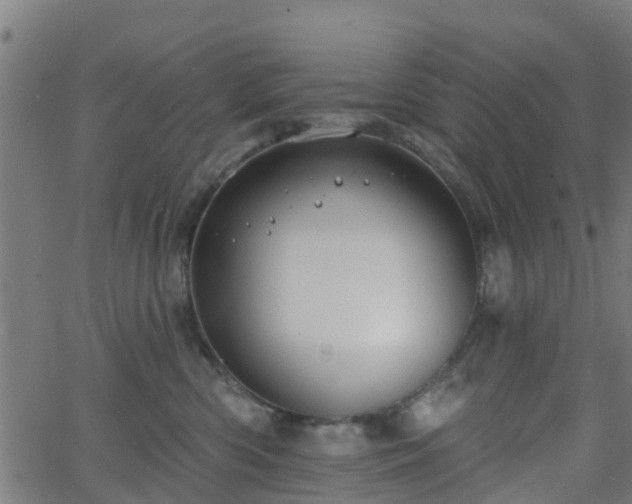 X0000062910426200601181224