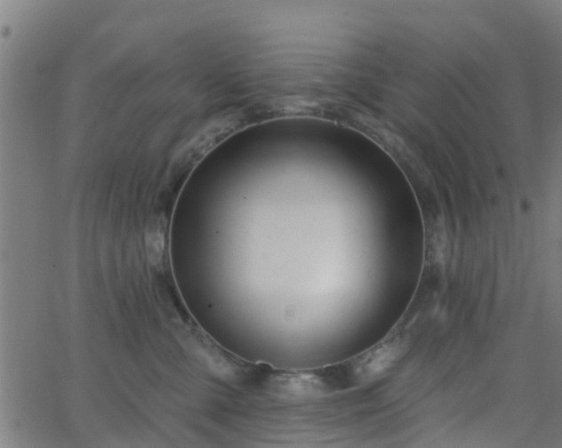 X0000062910427200601181224