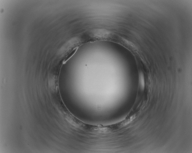 X0000062910428200601181224